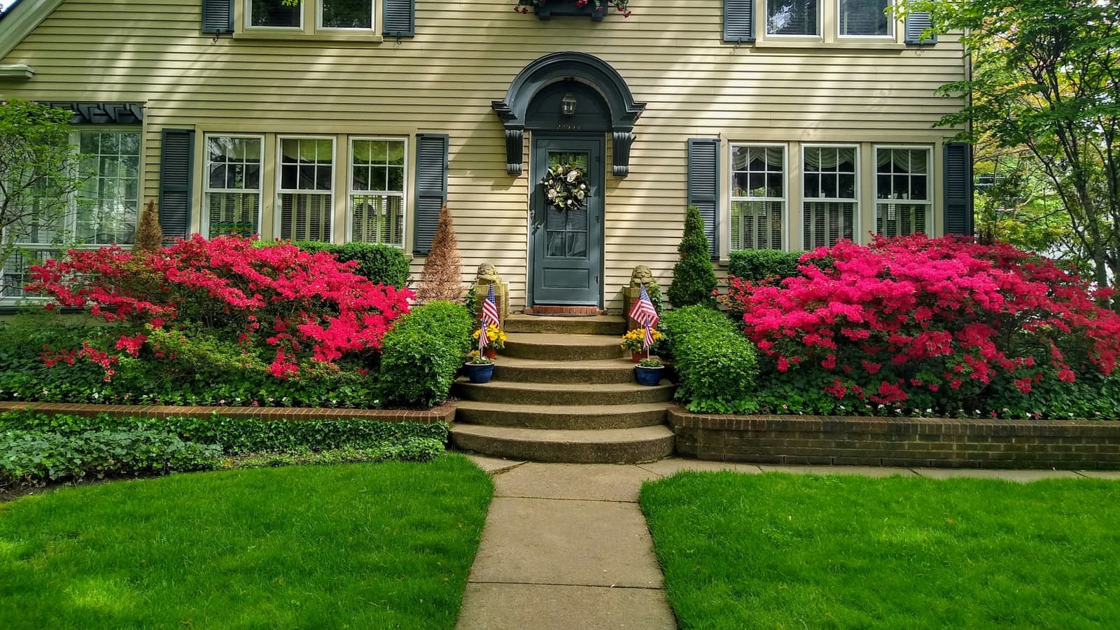 Yellow two-story colonial home with blue shutters, pink azaleas and a neat green lawn